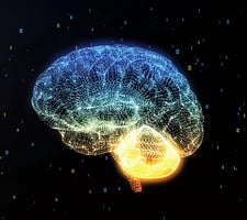 科學發現人腦特有隱藏區域