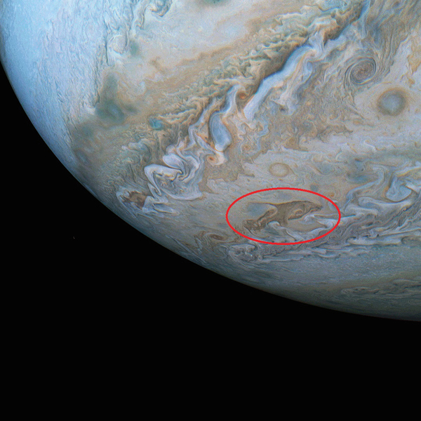 NASA在木星表面拍到巨大「海豚」