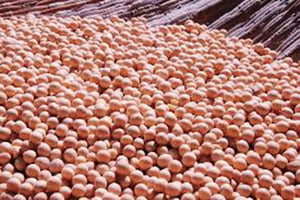 大陸災禍頻頻豆價暴漲  糧食缺口高達1.5億噸