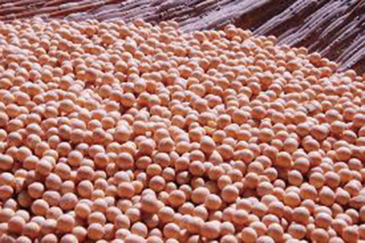 大陸災禍頻頻豆價暴漲  糧食缺口高達1.5億噸
