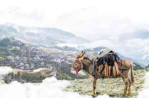 【短篇小說】雪境荒村古韻長