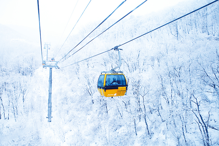 南韓冬季滑雪場完全征服手冊