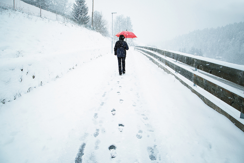揭秘200年前「無夏之年」