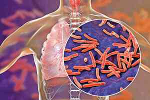 研究發現細菌「超級膠水」祕密