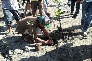 菲律賓新立法 學生要畢業 先種十棵樹