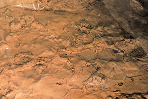 考古還原1.4萬年前一家五口的探險