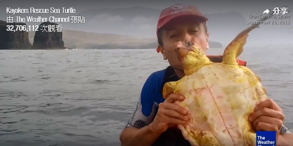 皮艇玩家吻了一下海龜，然後把牠放回大海。（The Weather Chanel 短片截圖）