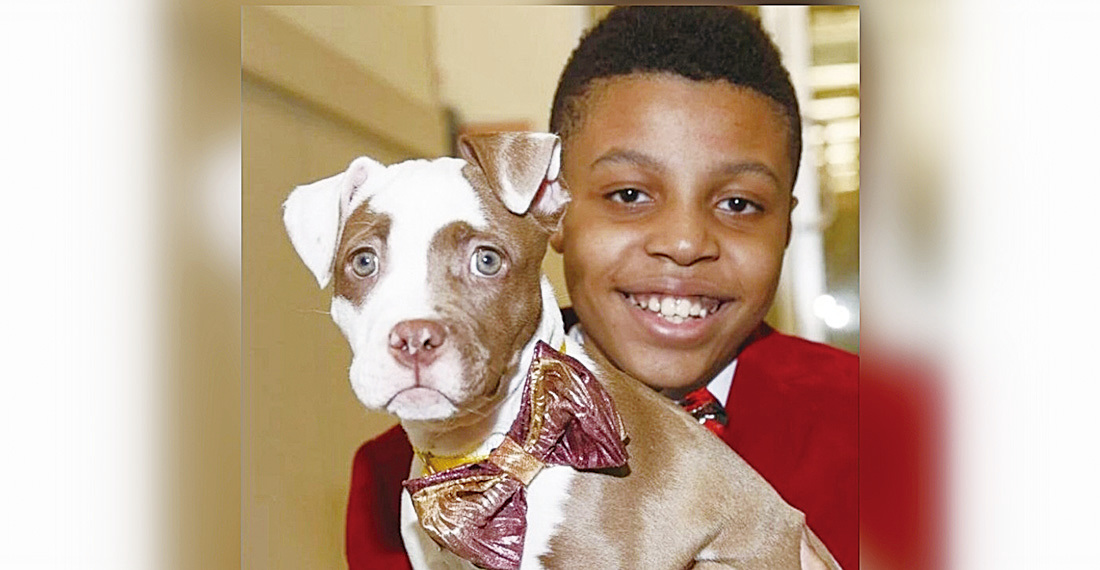 12歲男孩製作時尚領結 幫流浪動物找到有愛的家