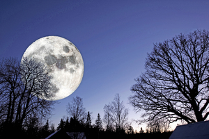 研究發現：史前人類用月亮計時