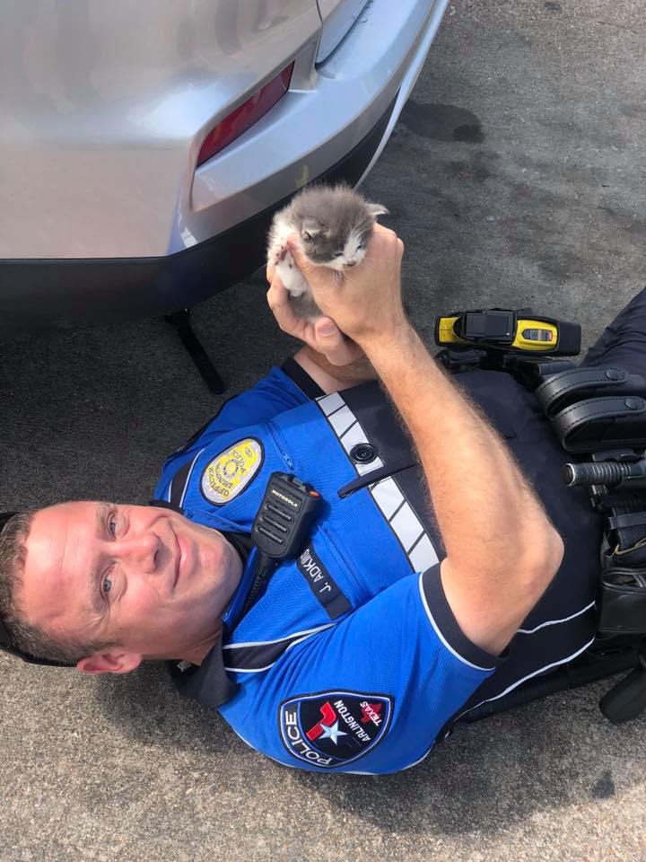 阿德金斯警官從車底的保險桿救出小貓。（Courtesy of Arlington Police Department）
