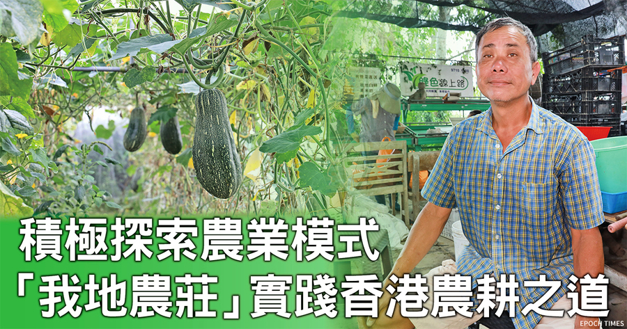 積極探索農業模式 「我地農莊」實踐香港農耕之道