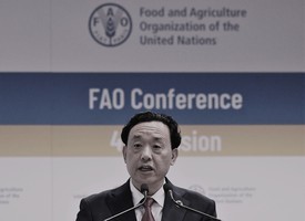 中共官員任聯合國糧農組織總幹事 當選內幕曝光