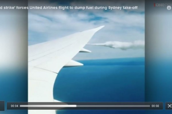 美國聯合航空（United Airlines）一架客機於當地時間今日（4日）早上起飛後不久，引擎遭鳥撞擊致冒煙，被迫折回悉尼作緊急降落，機上無人受傷。（Instagram/kiphale3截圖）