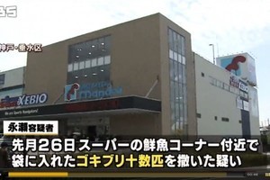 在超市「放生」蟑螂 日本女子被捕