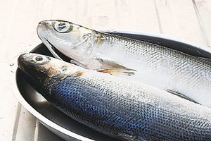 虱目魚營養豐富 六種虱目魚料理簡單易學（二）