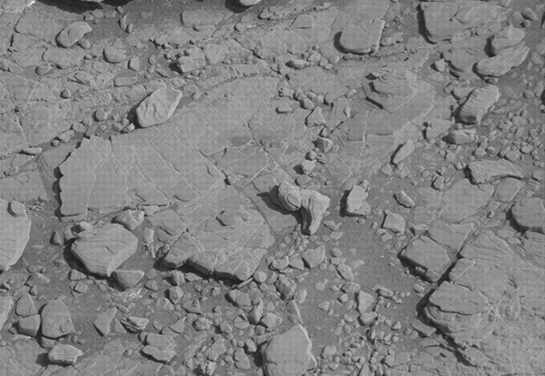 UFO專家：火星照片上發現遠古機械人斷腳