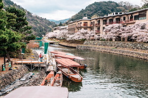 日本京都五大櫻花秘境