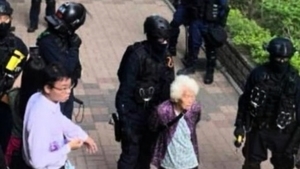 香港80多歲老奶奶被捕 只因問港警一句話