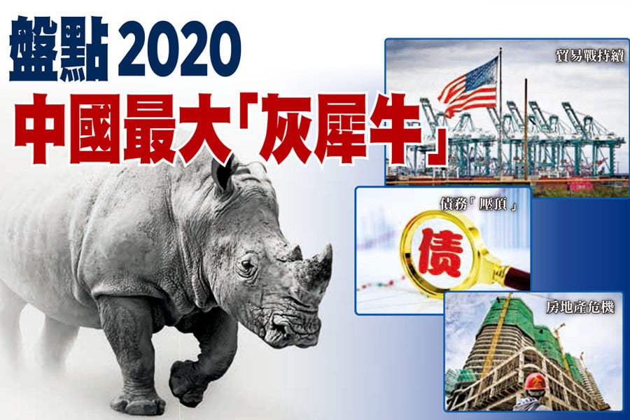 盤點2020年中國最大「灰犀牛」