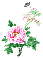 夢﹒緣﹒因果(下)