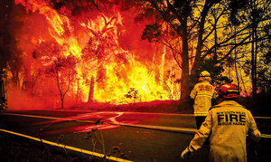 澳洲野火危機或可暫獲緩解