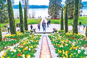 德國浮動花園 花島美瑙