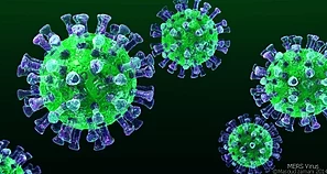 澳健康專家：冠狀病毒一旦爆發 可殺6千5百萬人