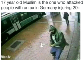 德國列車兇案 男子揮斧砍人被擊斃