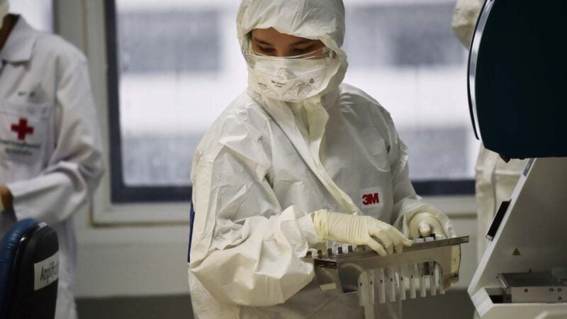 實驗室人員在檢測武漢中共病毒樣本。（示意圖）（LILLIAN SUWANRUMPHA/AFP via Getty Images）