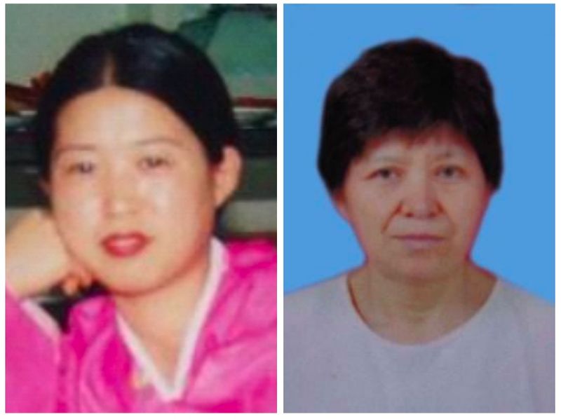 中國朝鮮族法輪功學員被迫害二十年綜述
