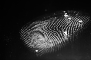 新方法從指紋確認曾使用可卡因
