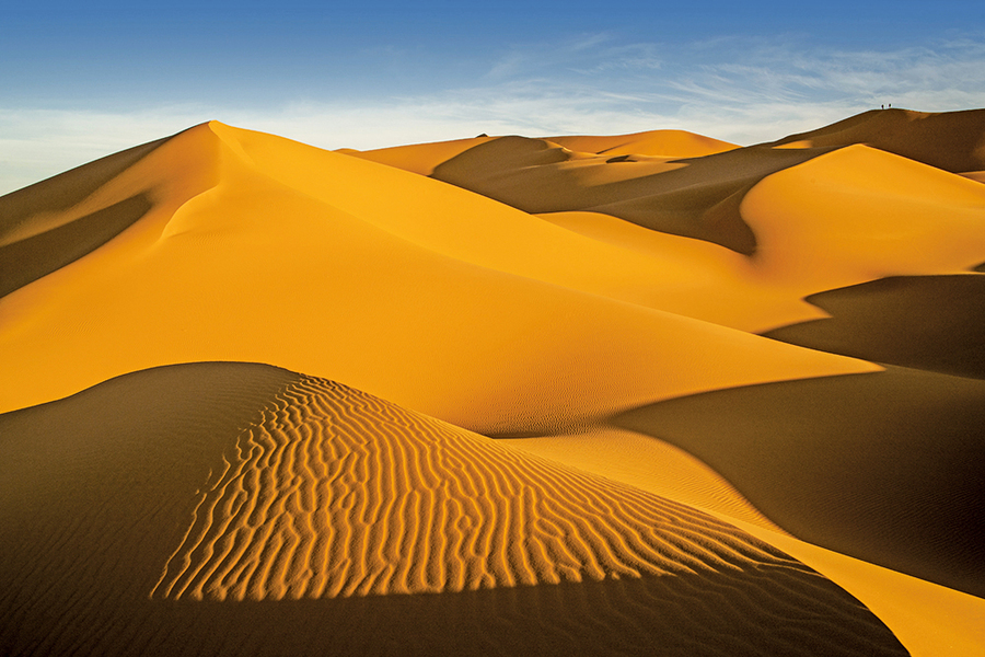 研究：沙丘之間也有聯繫
