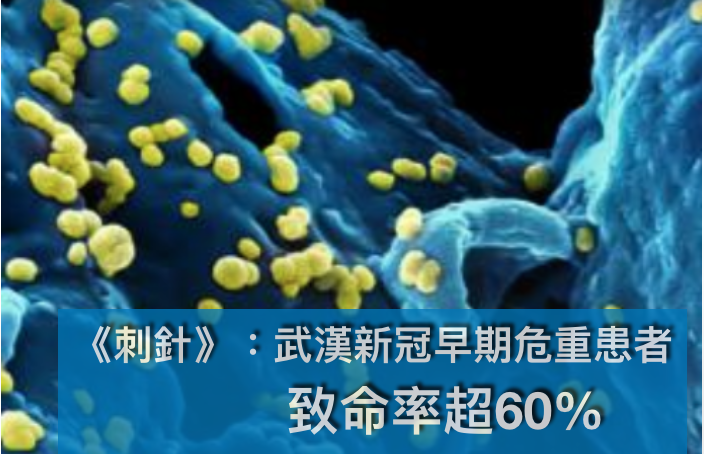 專家：中國將有6億人感染武漢肺炎  早期危重患者死亡率超60% 