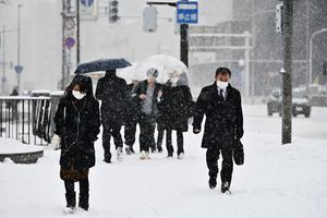 日防疫物資現亂象 最嚴重疫區為北海道