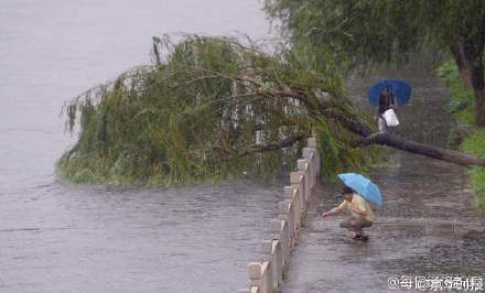 北京突降暴雨水位漲 河邊現「救魚哥」