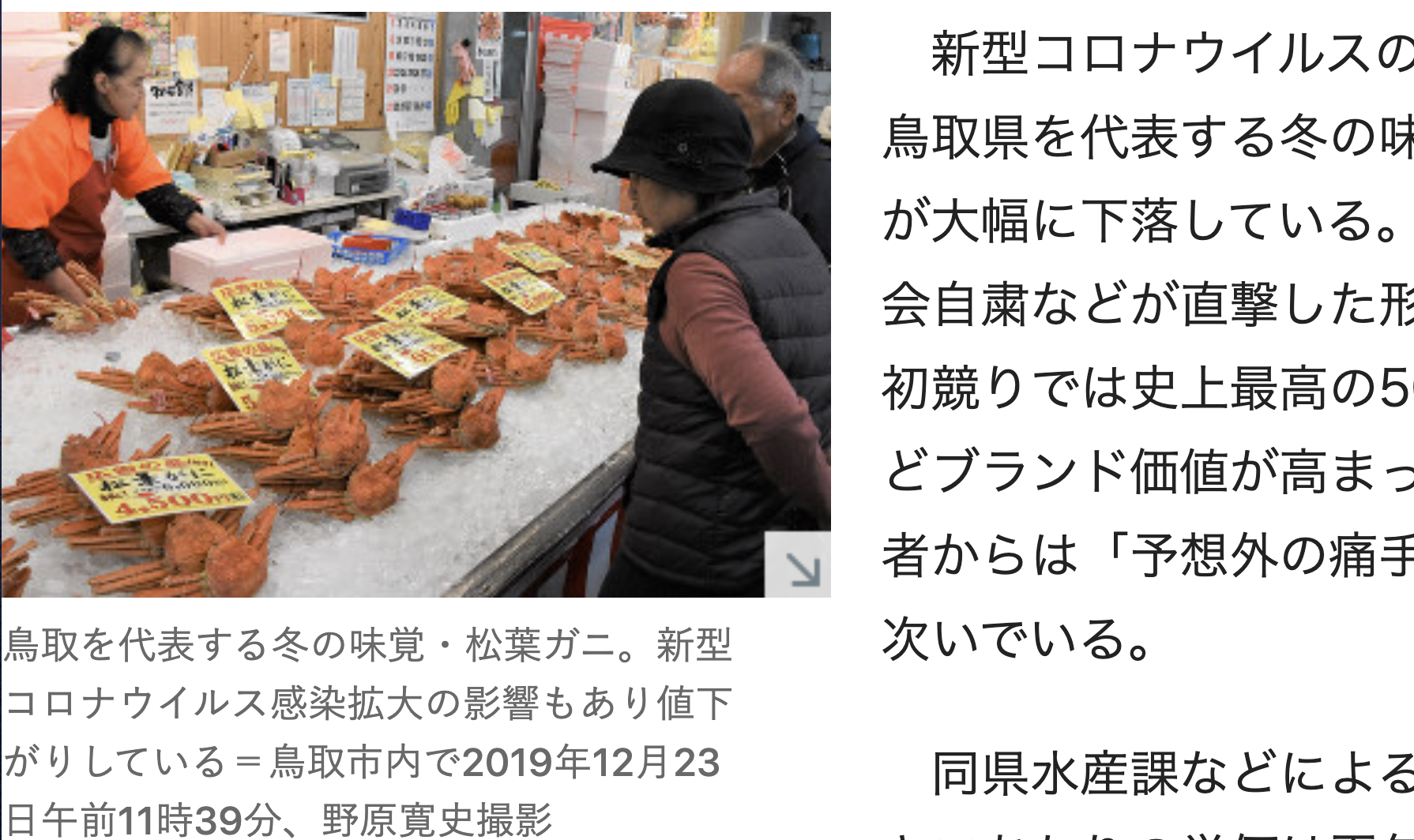 近期日本旅遊業蕭條，鳥取縣的美味松葉蟹（Matsubagani）價格暴跌。（網絡截圖）