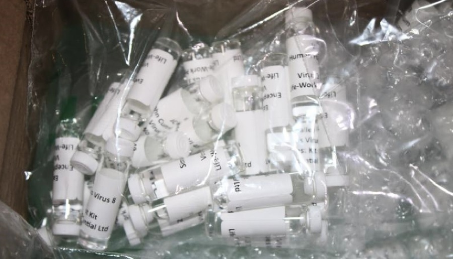 假中共病毒試劑盒混入 美國海關截獲100多瓶
