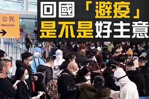 【熱點互動】海外華人回國「避疫」引熱議