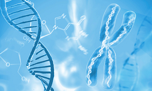 科學家揭秘蛋白如何協作完成DNA修復