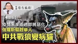 【有冇搞錯】俄羅斯驅趕華人 中共戰狼變病貓