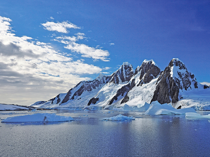 研究：九千萬年前南極是雨林氣候