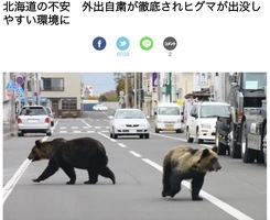 北海道若啟動緊急事態 憂萬人空巷熊出沒