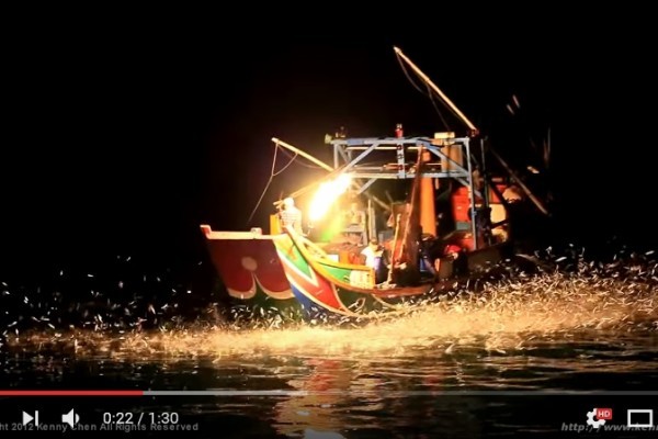 台灣北海岸傳統技法 蹦火船以火捕魚