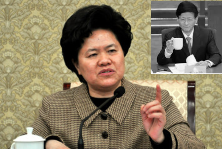  國家信訪局局長舒曉琴被免職 傳是孟建柱姘婦
