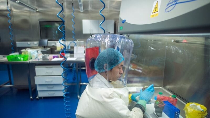 圖為一位員工在武漢P4實驗室裡面工作。（JOHANNES EISELE/AFP via Getty Images）