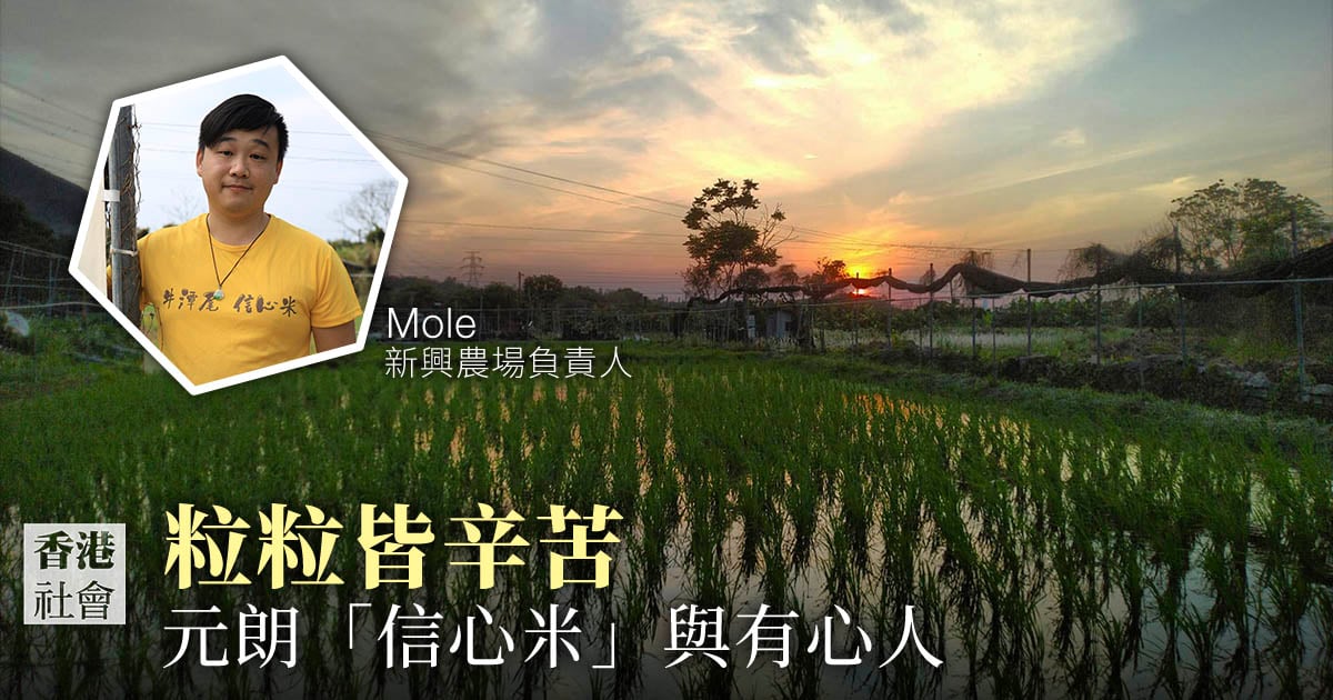 新興農場第三代Mole，擔任假日農夫，熱心種米和教育推廣活動。（陳仲明／大紀元）