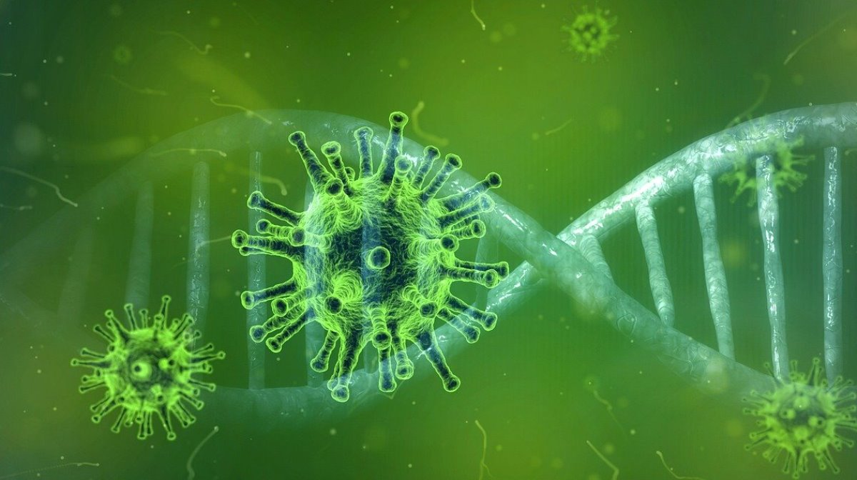 外界懷疑中共病毒（COVID-19）疫情的源頭來自武漢一座病毒研究所。示意圖。 （pixabay.com）