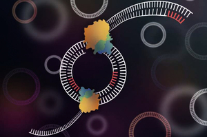 科學家發明環形DNA測序工具