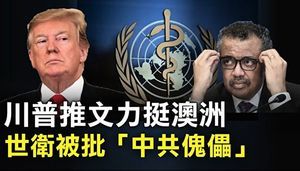 特朗普發推文力挺澳洲 世衛被批是中共傀儡