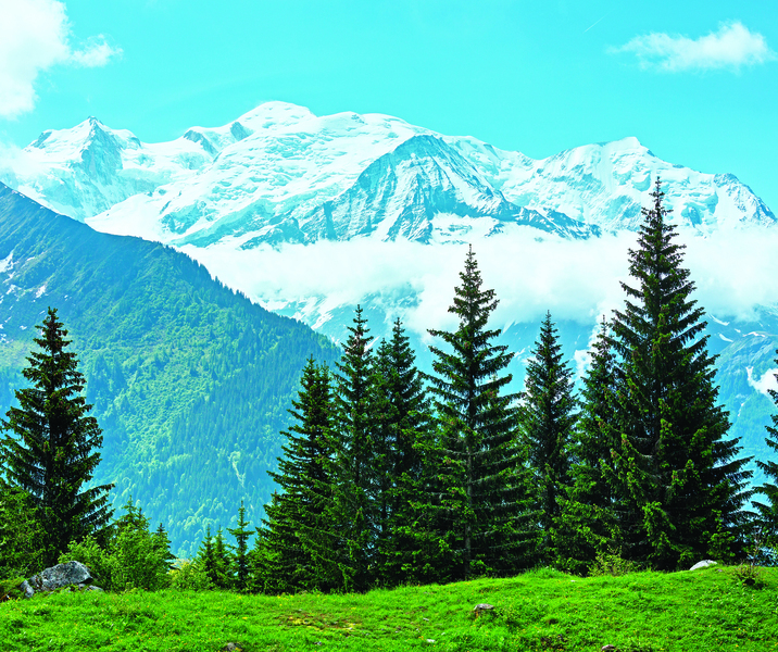 無懼春寒料峭天